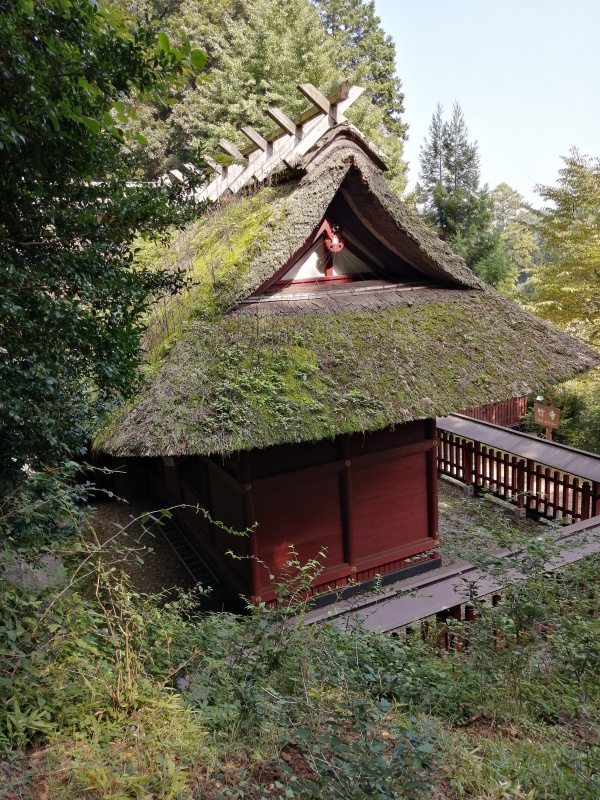 竹寺の苔の写真